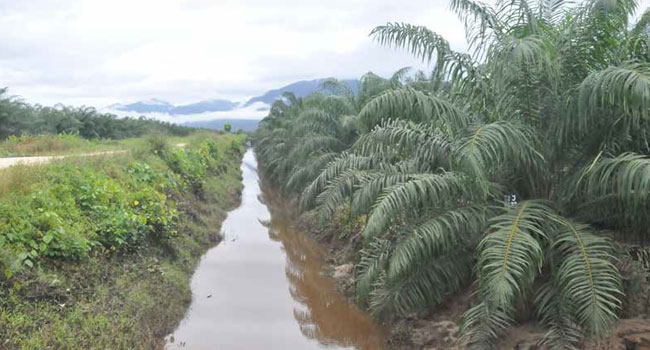 Industri Kehutanan Jangan Cari Alasan Lagi